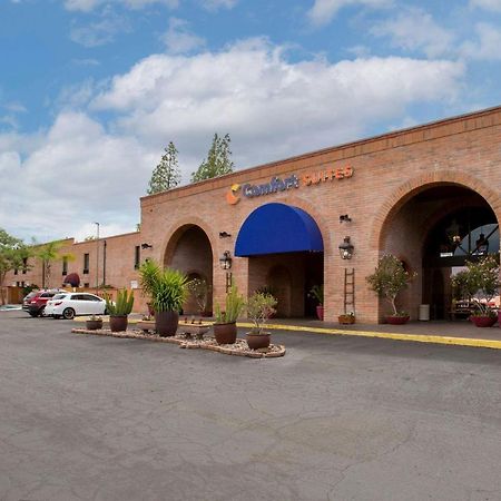 Comfort Suites At Sabino Canyon Тусон Екстер'єр фото