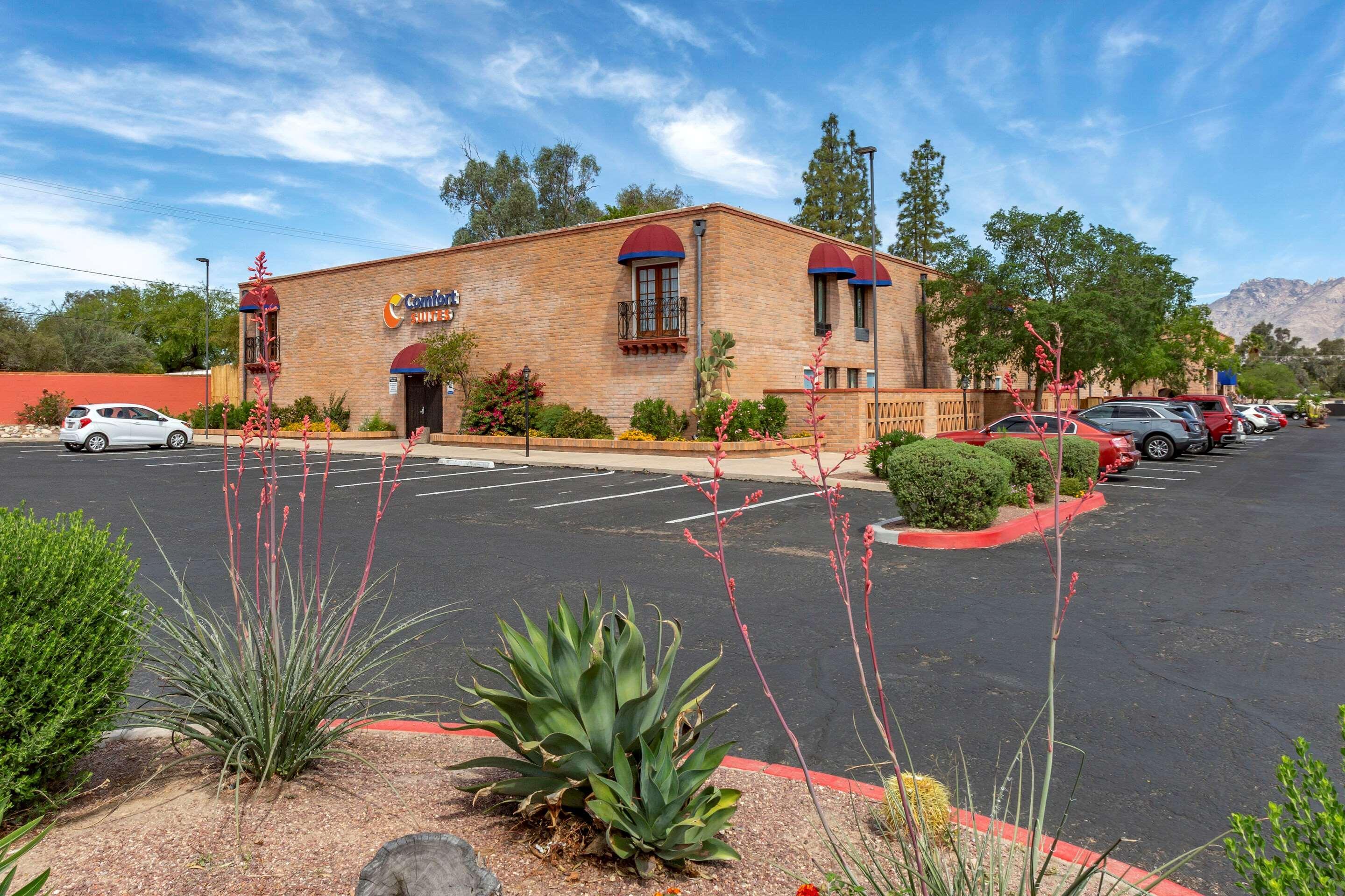 Comfort Suites At Sabino Canyon Тусон Екстер'єр фото